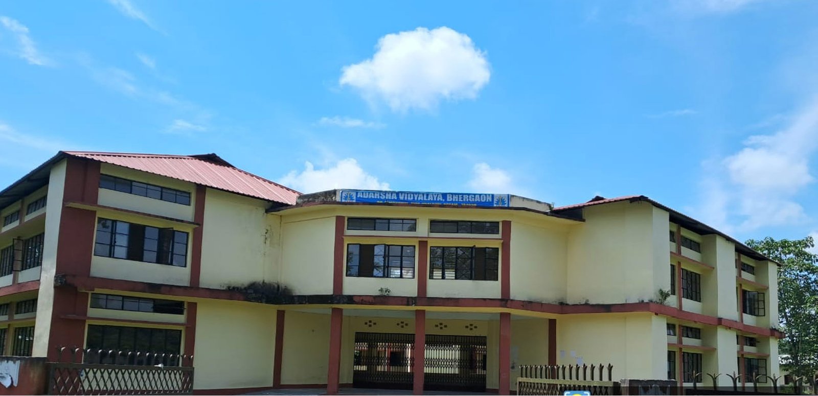 Website & Software Development